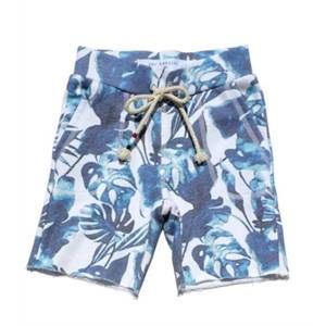 NEW SOL ANGELES midnight printed short in blue/palm